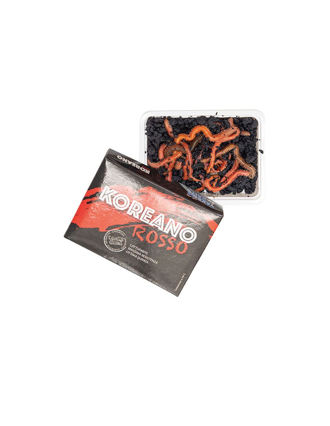 Coreano Rosso VENDITA PRESSO THEPESCA.COM PALINURO