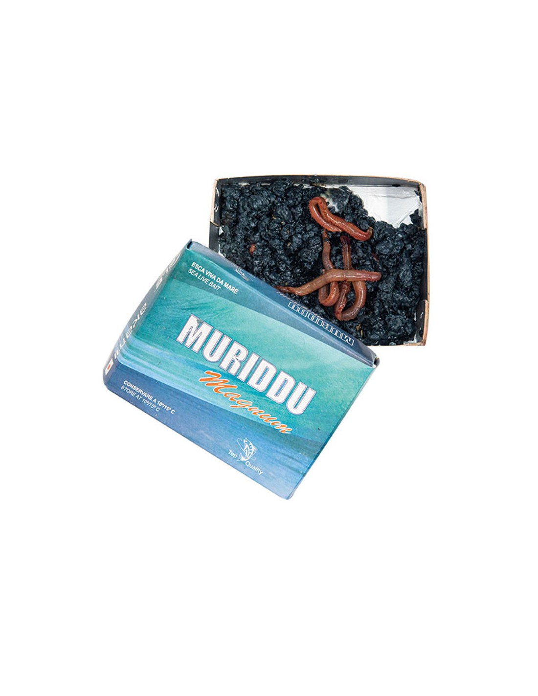 Muriddu VENDITA PRESSO THEPESCA.COM PALINURO